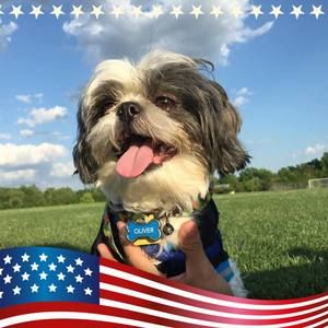 Meet your Posher, Ruth